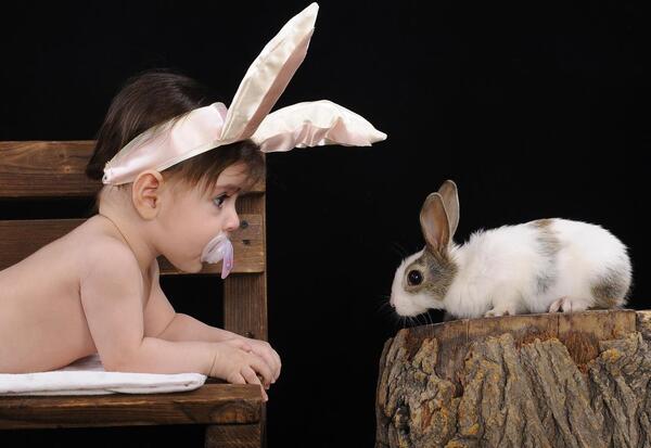 عکس ایده لباس خرگوش