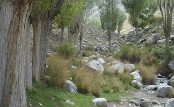 عکس طبیعت یزد