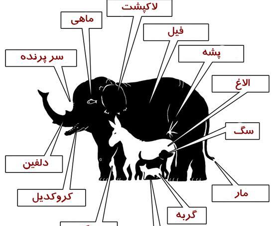 معما در عکس فیل چند حیوان میبینید