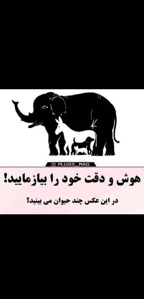 معما در عکس فیل چند حیوان میبینید