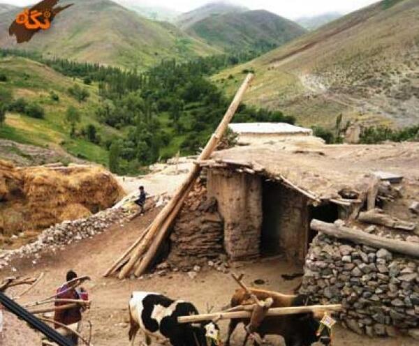 عکس گاوآهن قدیمی
