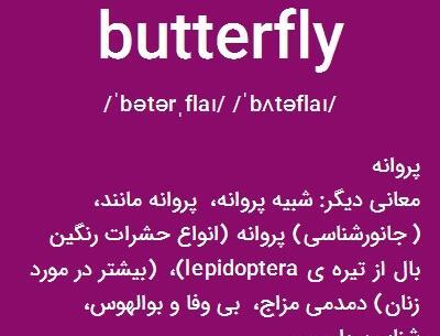 عکس نوشته اسم پروانه انگلیسی
