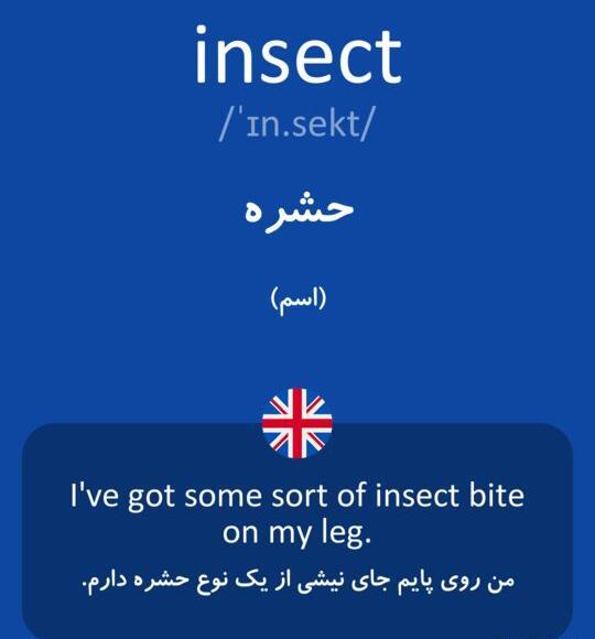 عکس نوشته اسم پروانه انگلیسی