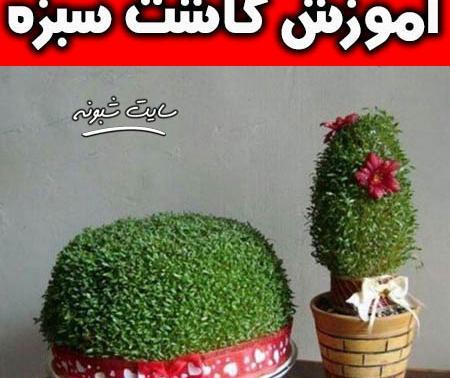 عکس سبزه های زیبای عید
