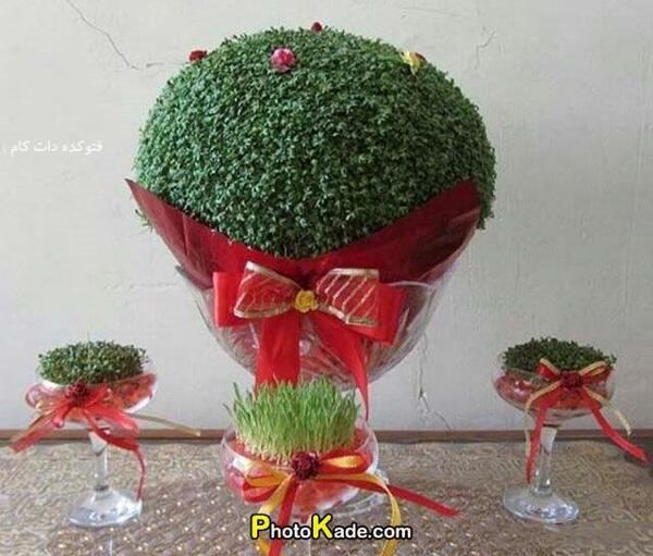 عکس سبزه های زیبای عید