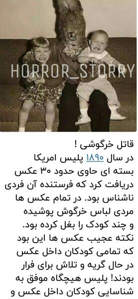 عکس خرگوش قاتل