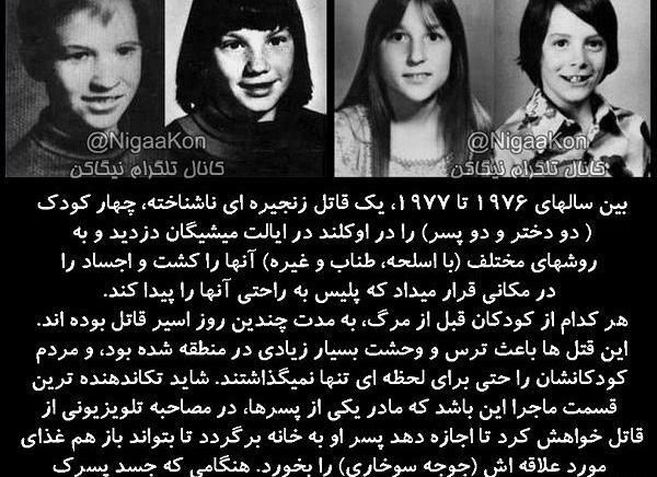 عکس خرگوش قاتل