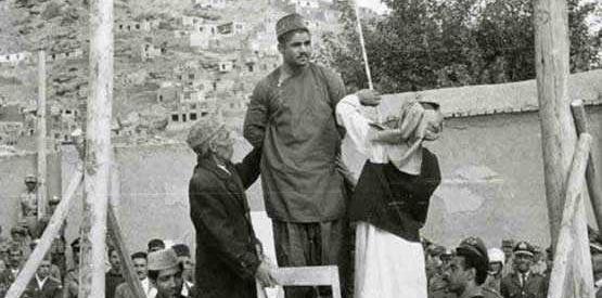 عکس خرگوش قاتل