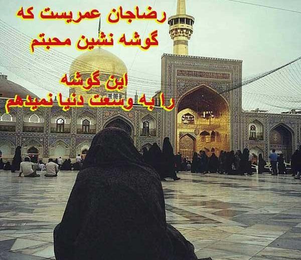 عکس حرم امام رضا متن