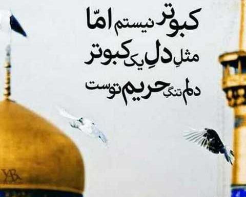 عکس حرم امام رضا متن