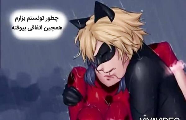 عکس بوسه عاشقانه لیدی باگ و کت نوار
