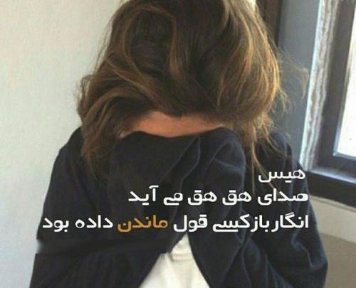 عکس های عاشقانه شاخ
