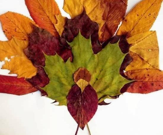 عکس ایده کاردستی پاییزی