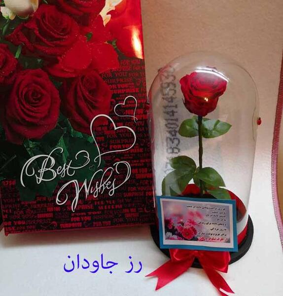 عکس گل رز جاودان