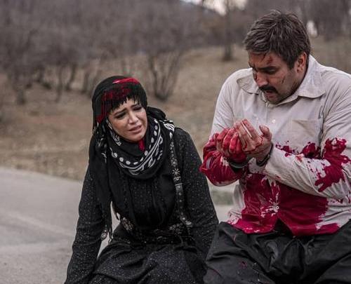 عکس سینا قاسمی در ایلدا