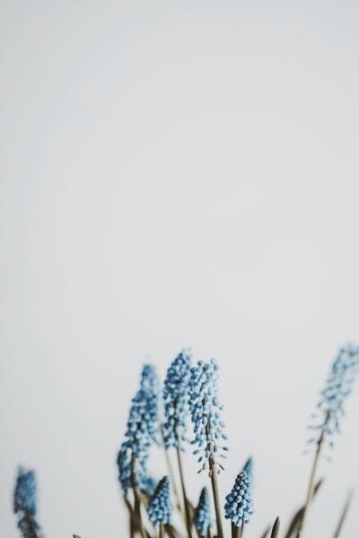عکس صفحه خالی برای متن