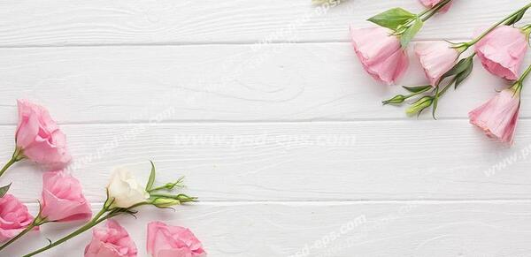 عکس صفحه خالی برای متن