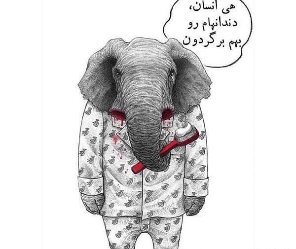 عکس پروفایل واتساپ حیوانات