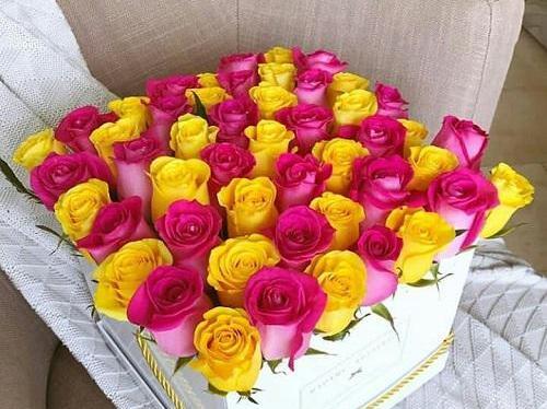 عکس گل رز زرد برای پروفایل
