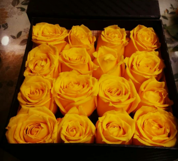 عکس گل رز زرد برای پروفایل