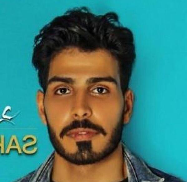 عکس ارش چگینی