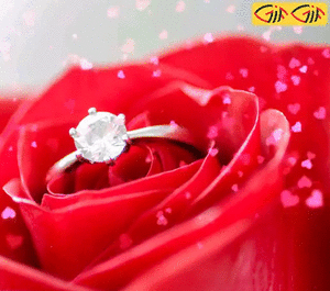 عکس واتساپ سالگرد ازدواج