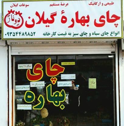 عکس غنچه چای