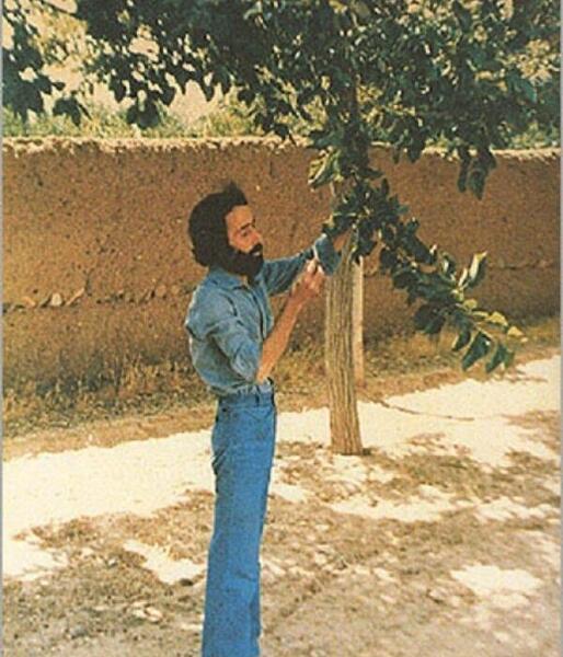 عکس آرش سپهری