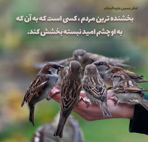 عکس نوشته حدیث بخشش