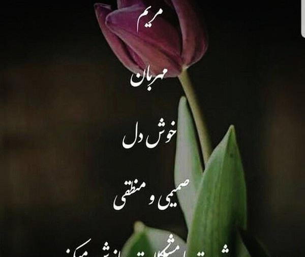 عکس گل مریم همراه با متن