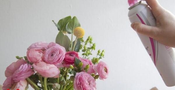 عکس ایده برای نگهداری گل خشک