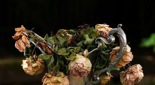 عکس ایده برای نگهداری گل خشک