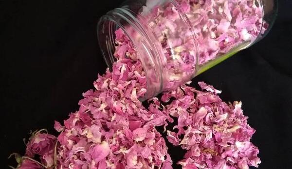 عکس ایده برای نگهداری گل خشک