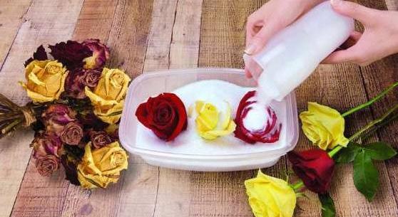 عکس ایده برای نگهداری گل خشک