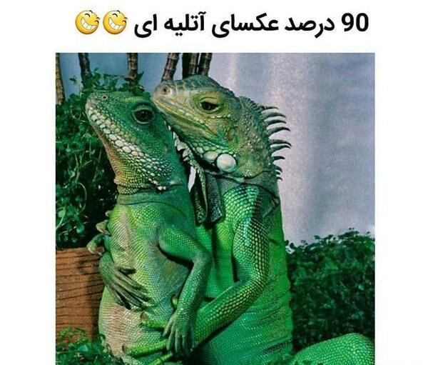 عکس خنده طنز دار