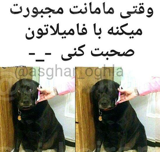 عکس خنده طنز دار
