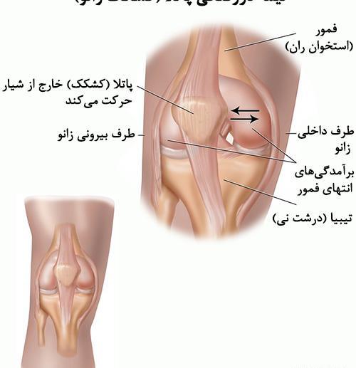 عکس سه بعدی زانو