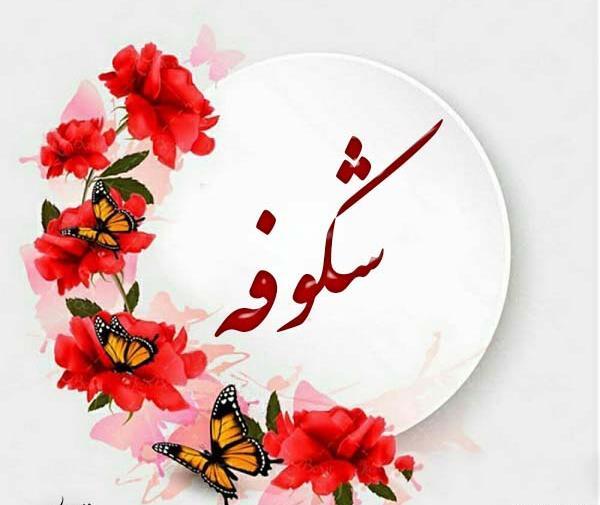 عکس نوشته ی شکوفه
