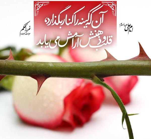 عکس نوشته قلب بی کینه
