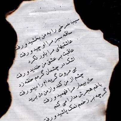 عکس نوشته پرنده مهاجر داریوش
