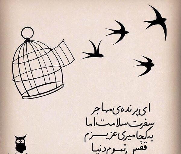 عکس نوشته پرنده مهاجر داریوش