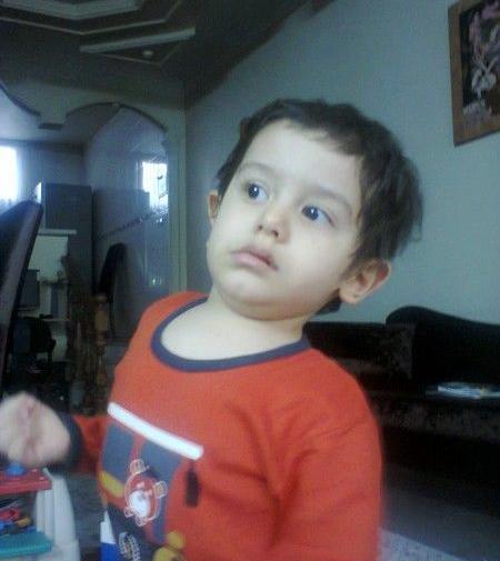 عکس آراد ها