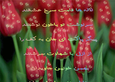 عکس نوشته لاله های روشن