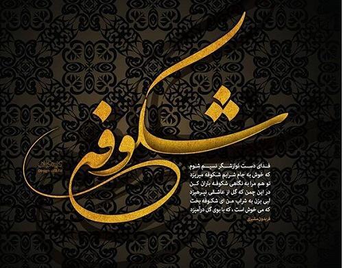عکس لوگو شکوفه