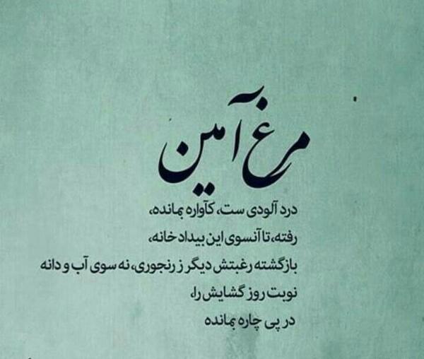 عکس نوشته شعر مرغ آمین