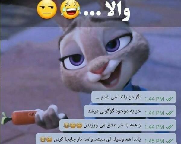 عکس های گوگولی