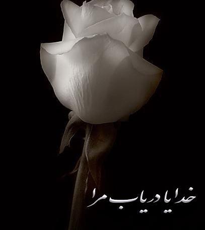 عکس دوستت دارم از طلوع عشق تا غروب سرنوشت