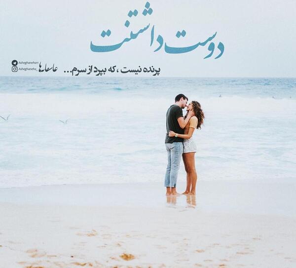 عکس های امیر علی ق