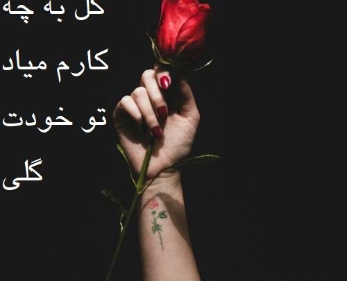 عکس نوشته خودت گلی