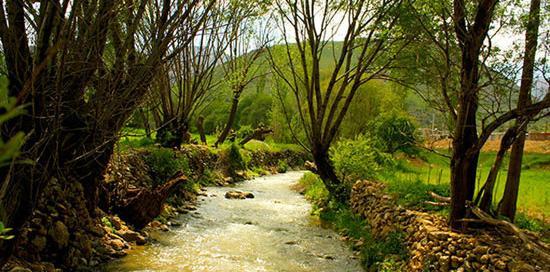 عکس از طبیعت اردیبهشت